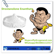 472-61-145 Bodybuilding Steroid Hormone Powder Drostanolone Enanthate